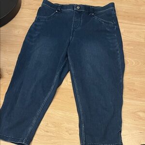 HUE Women's Blue Jeggings